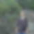 Photo de profil de Sabine Schneider