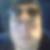 Photo de profil de Albert Stabile
