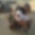 Photo de profil de Anthony Mahieu