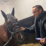 Photo de profil de Sébastien Dormy