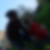 Photo de profil de Melanie Rizzo