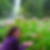 Photo de profil de Amanda Delarbre