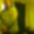 Photo de profil de Eddy Michelon