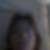 Photo de profil de Delphine Desvillettes