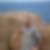 Photo de profil de Cédric Roger