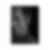Photo de profil de Patrick Dube
