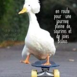 Photo de profil de Severine Guillet