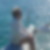 Photo de profil de Annick Renou