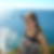 Photo de profil de Stéphanie Pascal