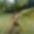 Photo de profil de David Burlot