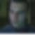 Photo de profil de Michel Schenke