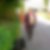 Photo de profil de Annie Brioy