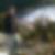 Photo de profil de Baudoin Crepat