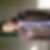 Photo de profil de Sommano Khamphosihom