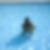 Photo de profil de Cedric Jacquot