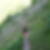 Photo de profil de Marie Line Astier