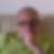 Photo de profil de Olivier Fleck