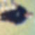 Photo de profil de Brice Collinet