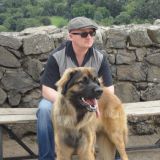 Photo de profil de Fabrice Labbé