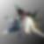 Photo de profil de Guilhem Kathy