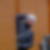 Photo de profil de Catherine Portillo