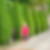 Photo de profil de Janine Seghers