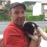 Photo de profil de Pascal Vasseur