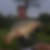 Photo de profil de Jean Luc Plantin