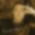 Photo de profil de Yannick Roux