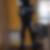 Photo de profil de Daniel Grosson
