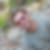 Photo de profil de Fabien Lemaitre