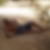 Photo de profil de Franck Tchatchouang
