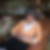 Photo de profil de Genevieve Mahieu