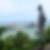Photo de profil de Joel Damon