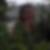 Photo de profil de Celine Thorelle