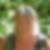 Photo de profil de Lesley Pickering