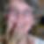 Photo de profil de Marie Francoise Blanchard