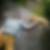 Photo de profil de Tintin Raynaud