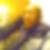 Photo de profil de Steven Siboly