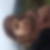 Photo de profil de Chahinez Hadjersi