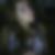 Photo de profil de Bezahaf Scherhazad