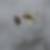 Photo de profil de Nicolas Bailly