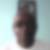 Photo de profil de José Sarant