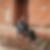 Photo de profil de Said Djaroun