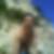 Photo de profil de Yohann Testut