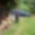 Photo de profil de Eric Le Gall