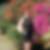 Photo de profil de Janine Tissot
