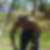 Photo de profil de Frederic Saha