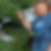 Photo de profil de Jean Pierre Dardan