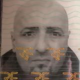 Photo de profil de Pascal Sicaud